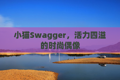小猫Swagger，活力四溢的时尚偶像