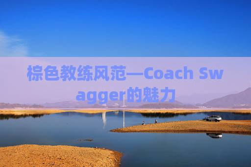 棕色教练风范—Coach Swagger的魅力
