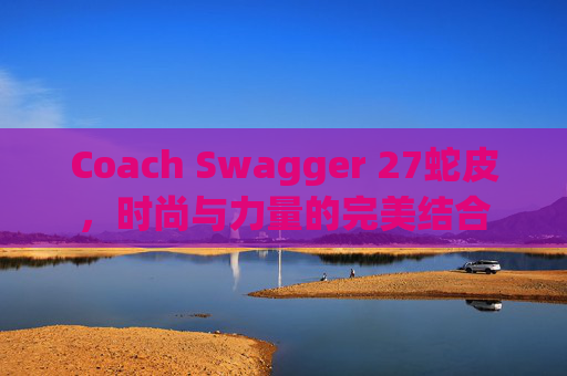 Coach Swagger 27蛇皮，时尚与力量的完美结合