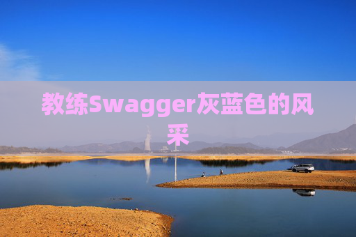 教练Swagger灰蓝色的风采