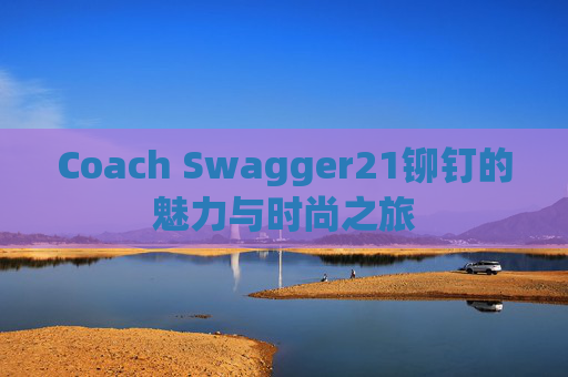 Coach Swagger21铆钉的魅力与时尚之旅