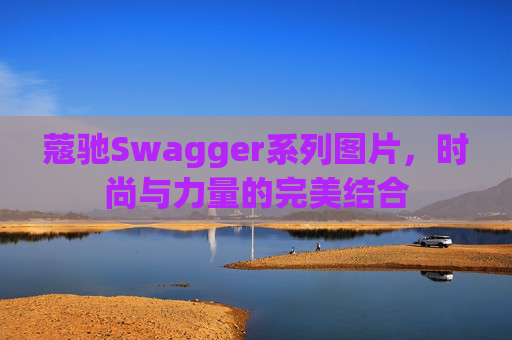 蔻驰Swagger系列图片，时尚与力量的完美结合